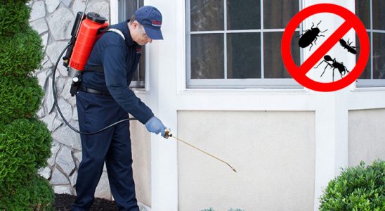 Felahiye Karınca İlaçlama böcek ilaçlama ve haşere kontrolü — ilaclama-tr.com